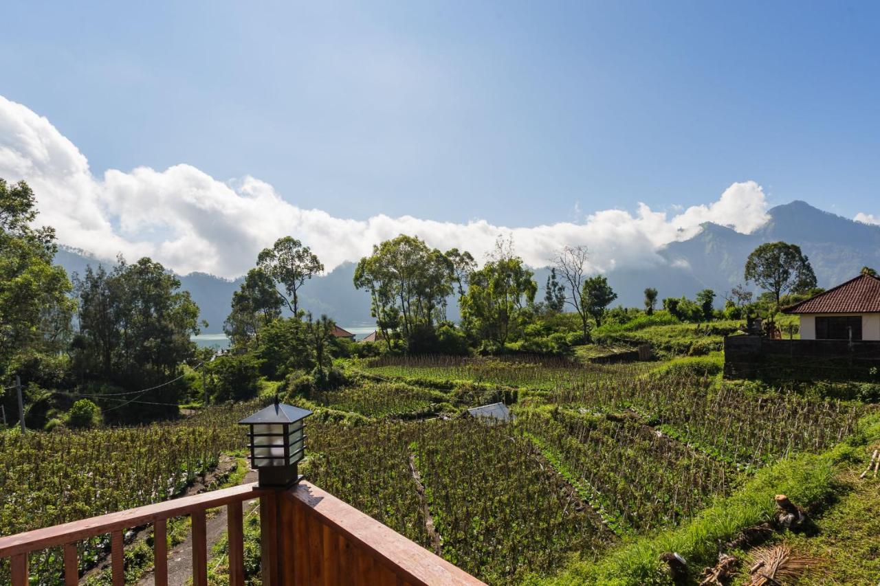 Mount Batur Villa Kintamani Eksteriør bilde